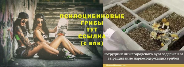 винт Беломорск