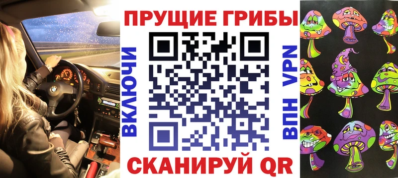 где купить наркотик Ахтырский OMG как зайти Псилоцибиновые грибы GOLDEN TEACHER
